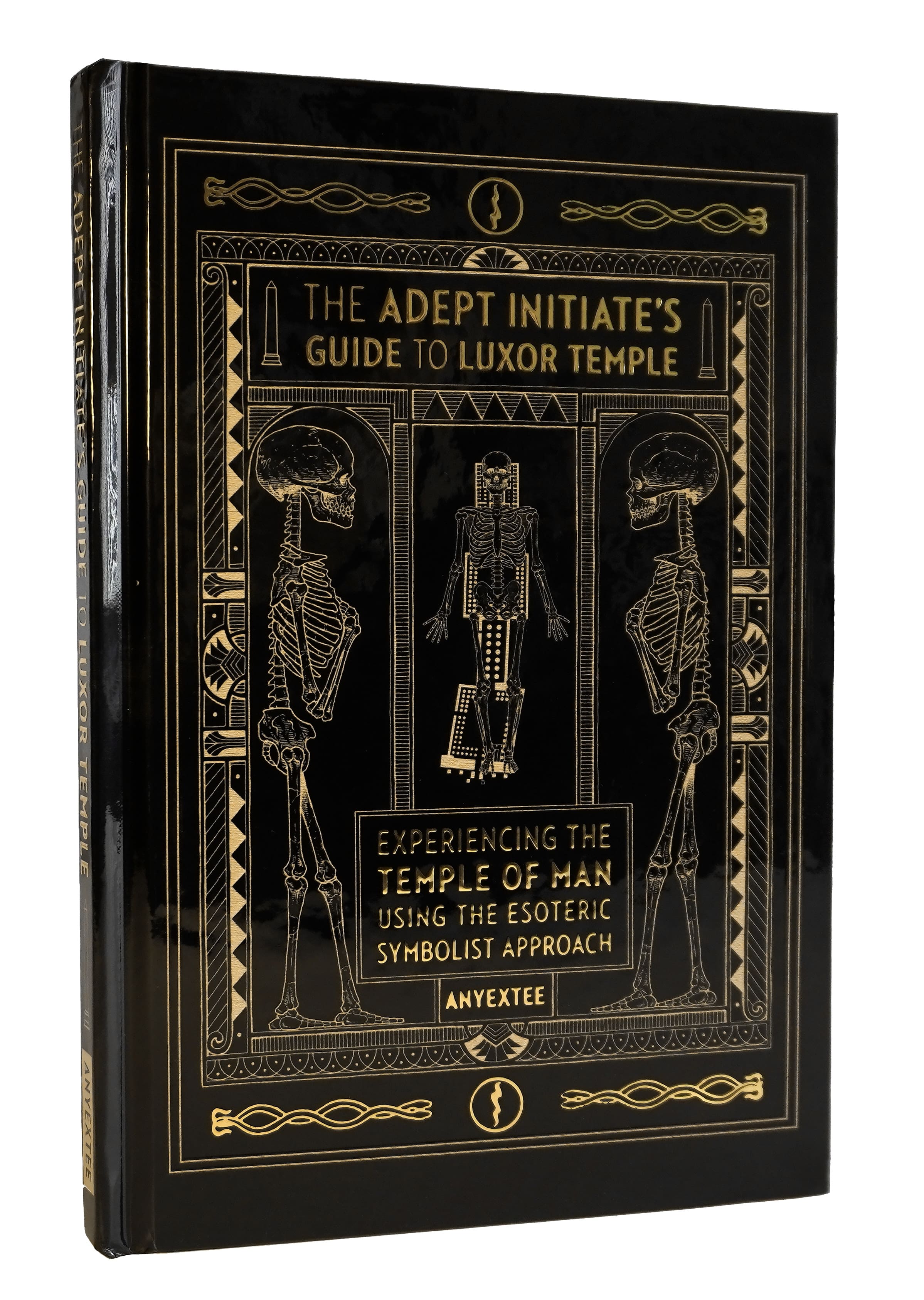 The Adept Initiate's Guide to Luxor Temple book by Anyextee